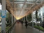 2017年遂宁中心医院迎春灯饰