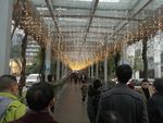 2017年遂宁中心医院迎春灯饰