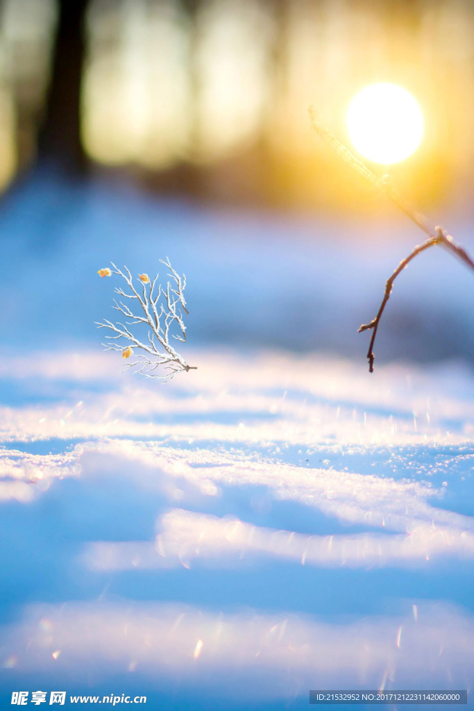 温馨阳光雪花背景