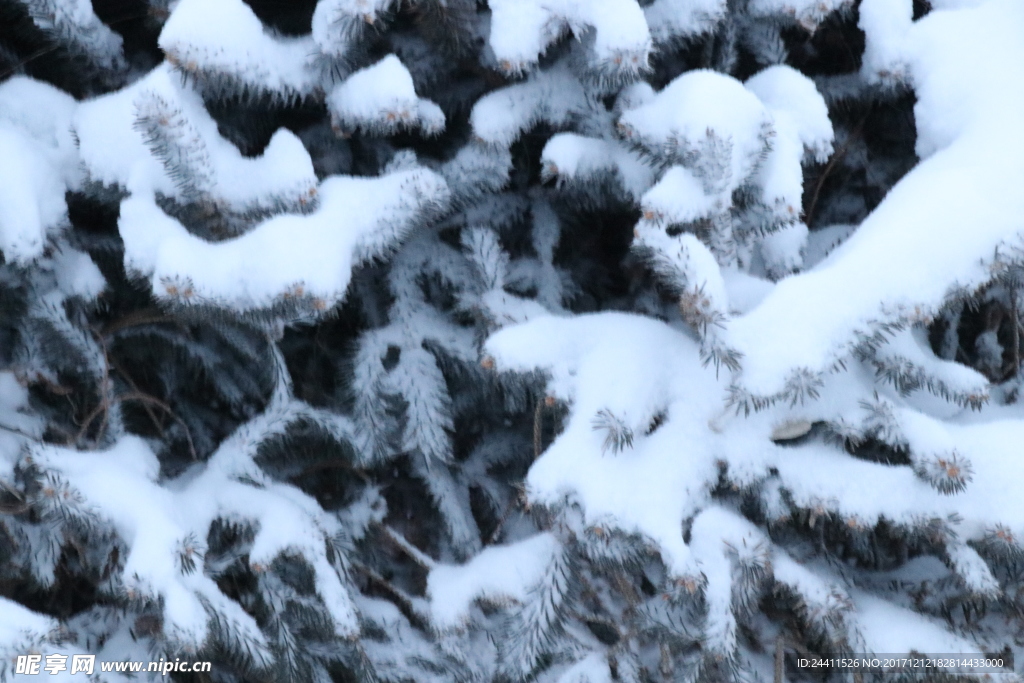 雪