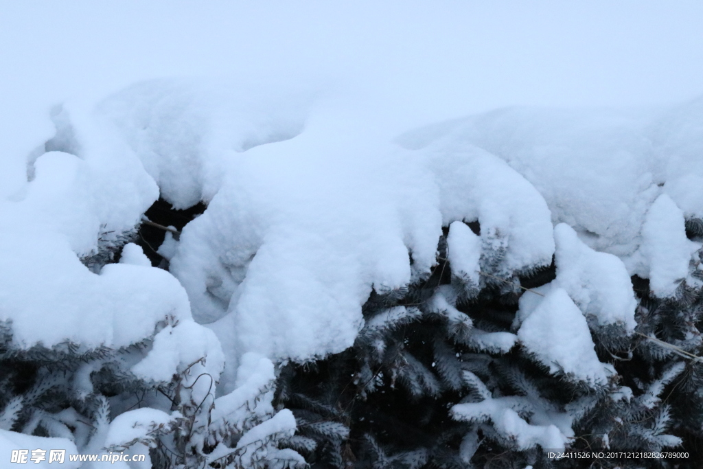 雪