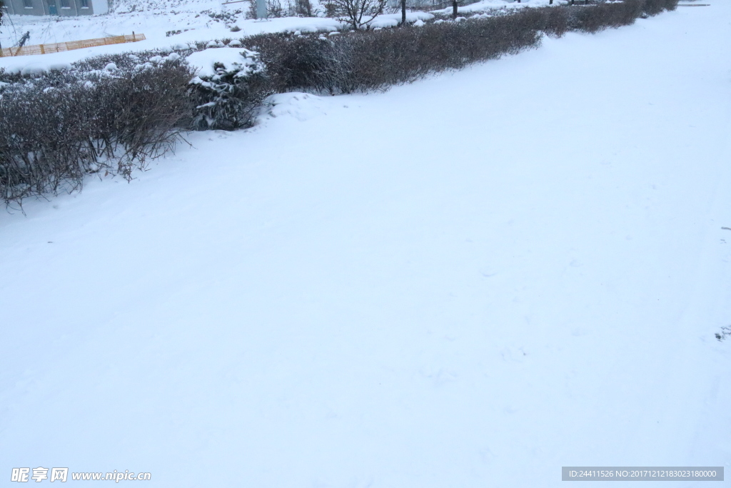 下雪了