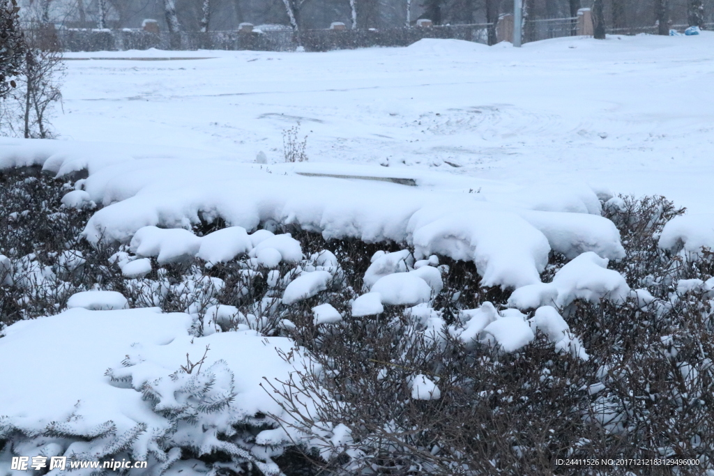 下雪了