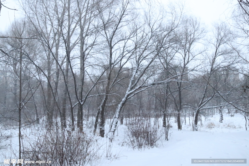 雪