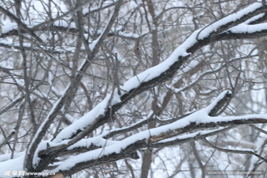 雪