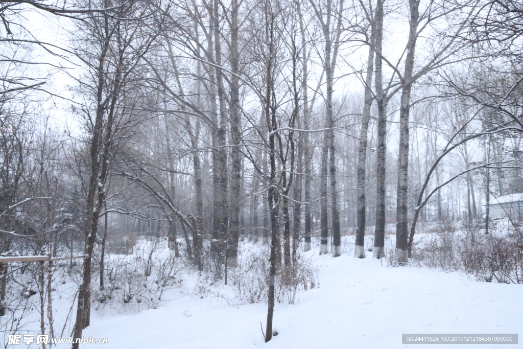 雪