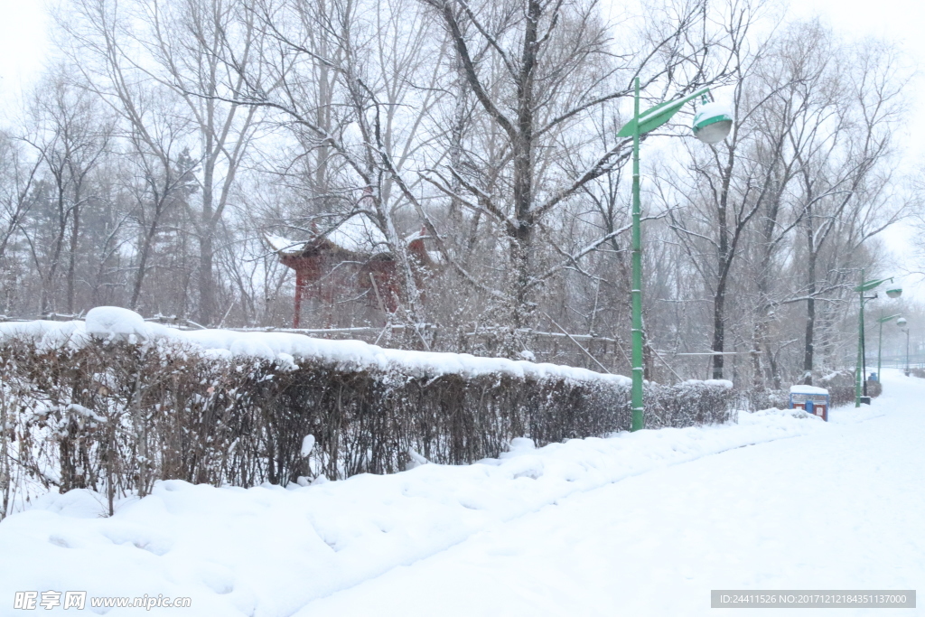 雪