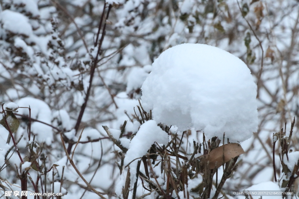 雪