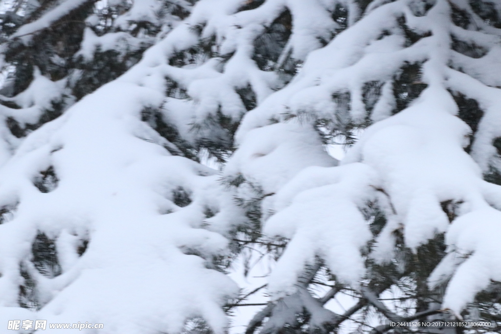 雪