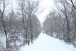 雪