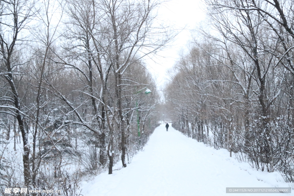 雪