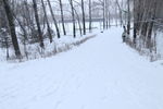 雪