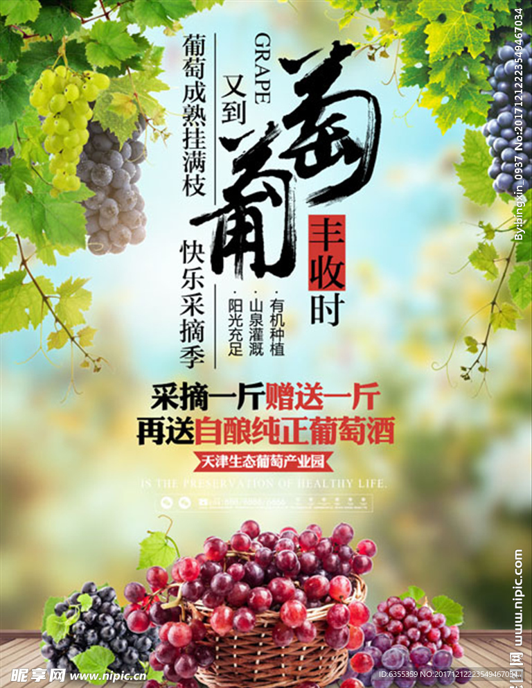 新鲜葡萄促销宣传海报设计