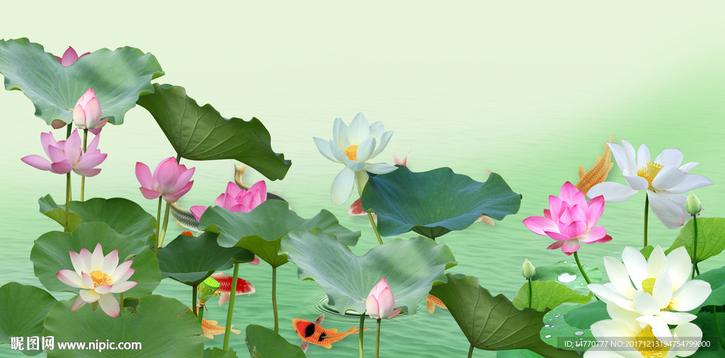 荷花壁画