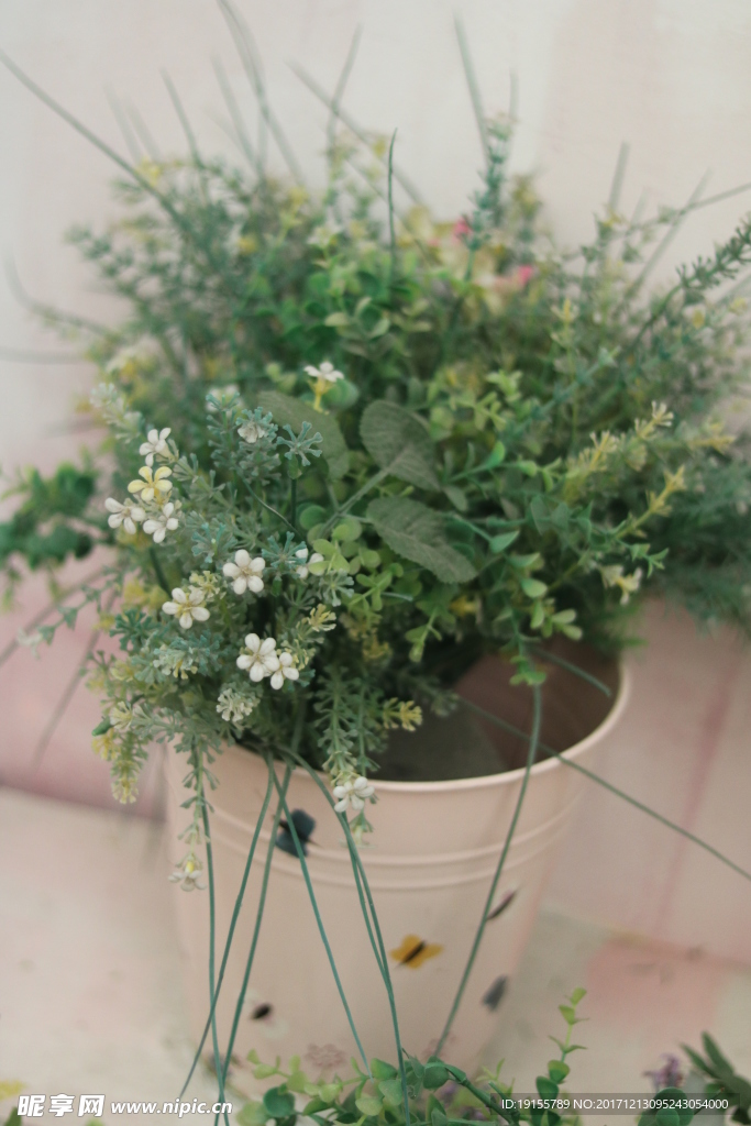 花与草与花盆特写