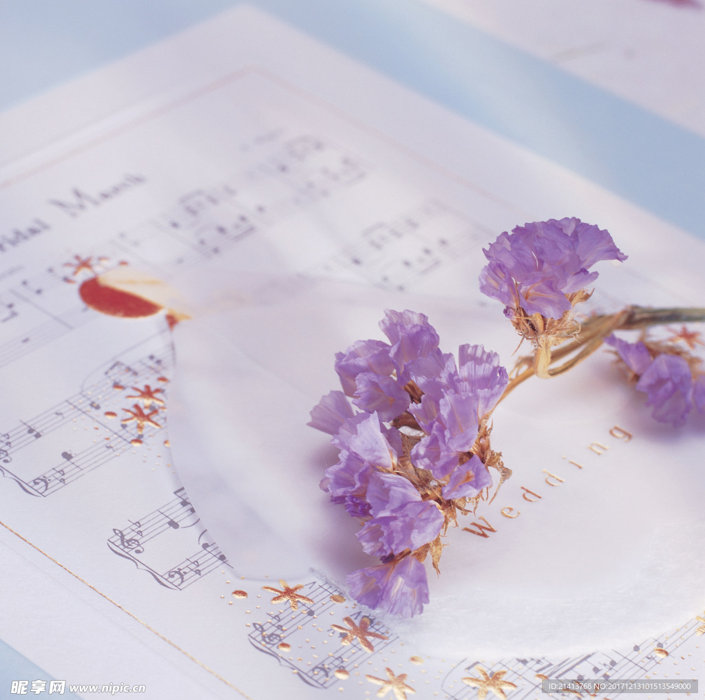 背景图 背景 底图 鲜花背景