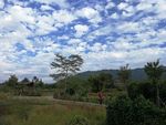 美丽乡村
