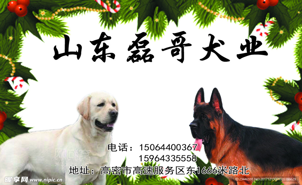 牧羊犬名片