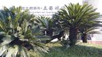 建川博物馆
