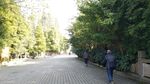 道路