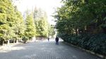 道路