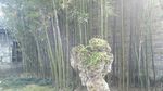 花园