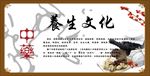 养生文化展板