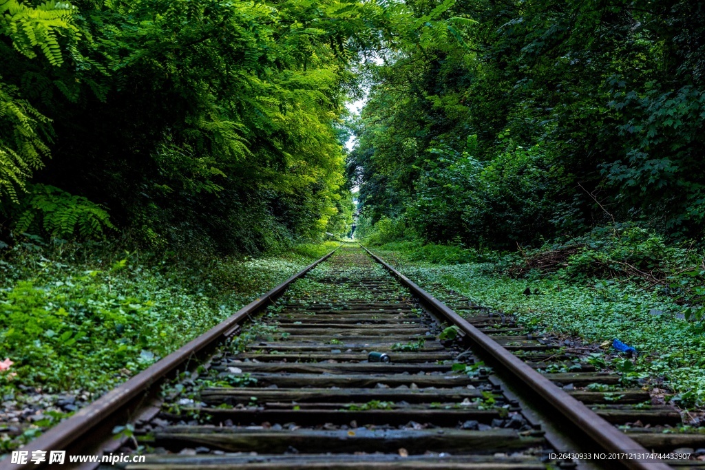 铁路森林