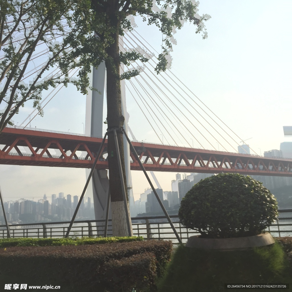 重庆市 南岸区 桥