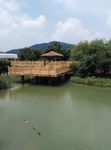 动物园风景