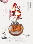 养生珍品冬虫夏草海报