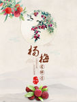 新鲜水果杨梅特写广告