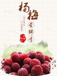 新鲜水果杨梅特写广告
