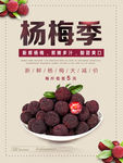 新鲜水果杨梅特写广告