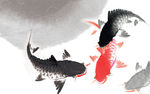 国画鲤鱼