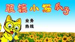 眼镜小猫瓜子