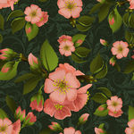 粉色 花卉  花枝 桃花