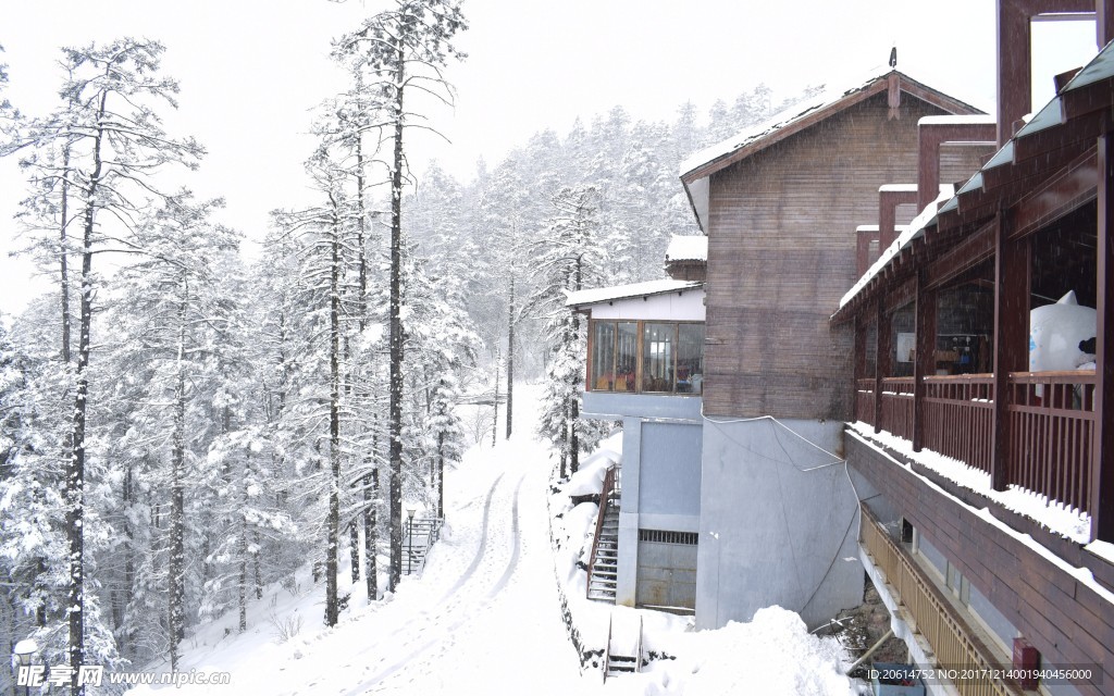 深山里的雪景
