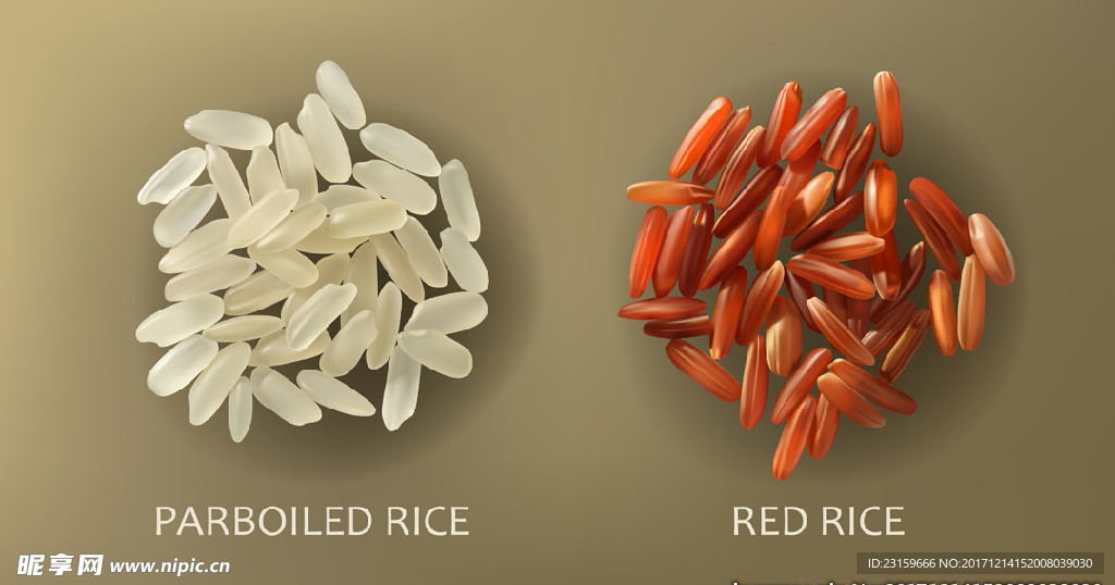 写实大米和红米插图
