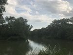国家西溪湿地