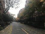 秋天落叶的小区