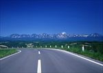 道路风景