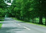 道路风景