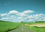 道路风景