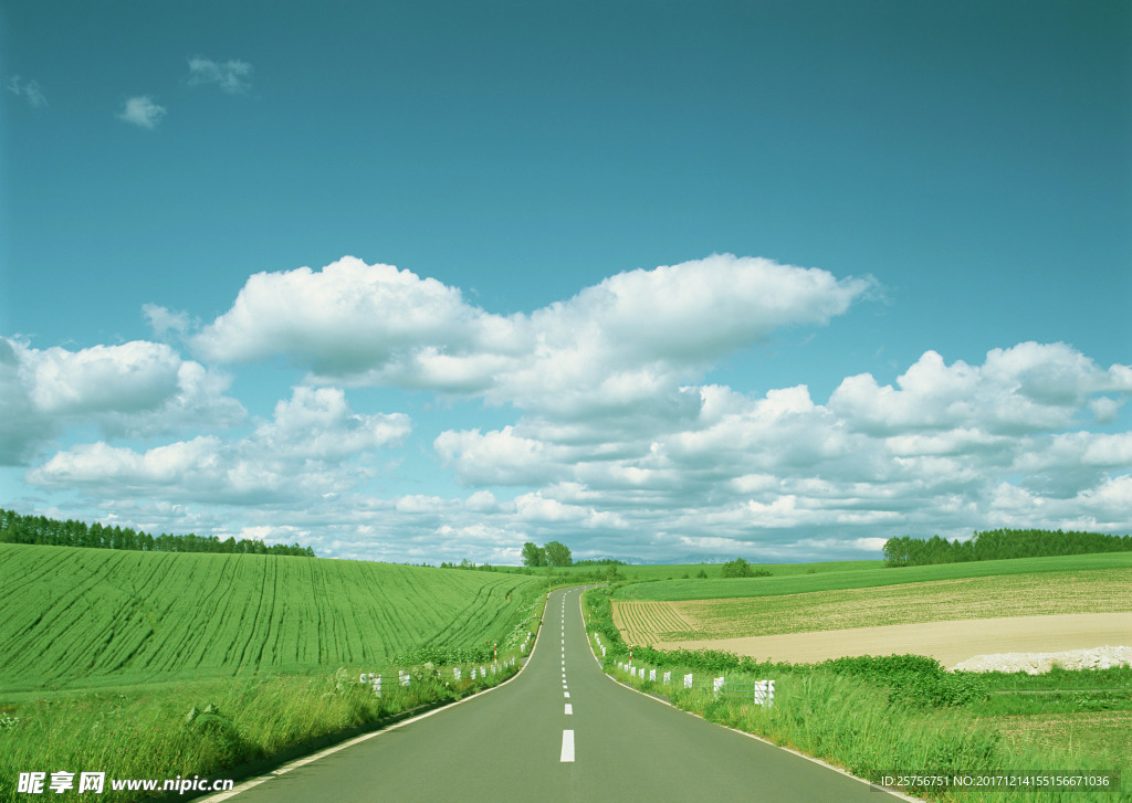 道路风景