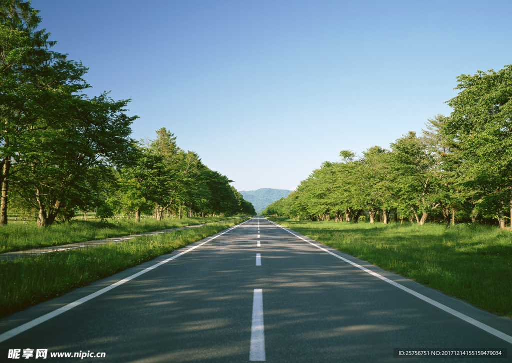 道路风景