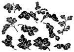 茶叶矢量图