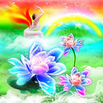 花瓣健身