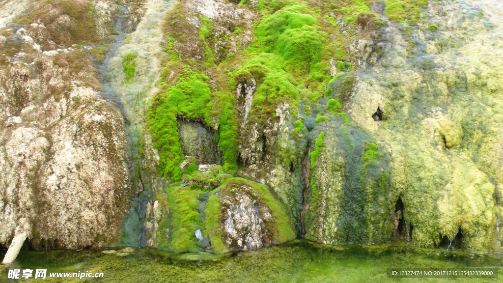 温泉   山水