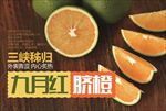 九月红脐橙
